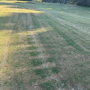 Meet your Posher, Meg